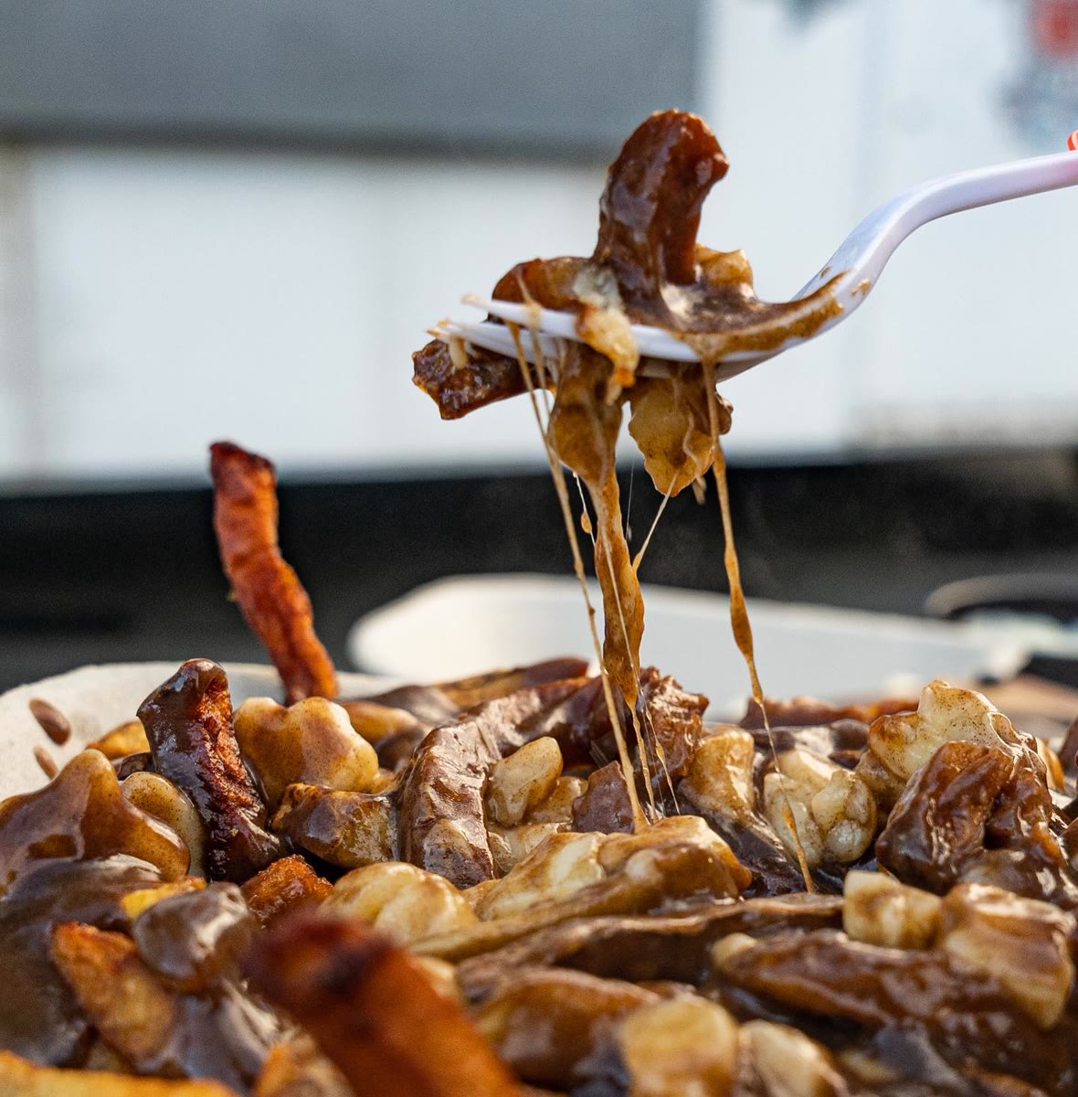 Loaded poutine with gravy and curds